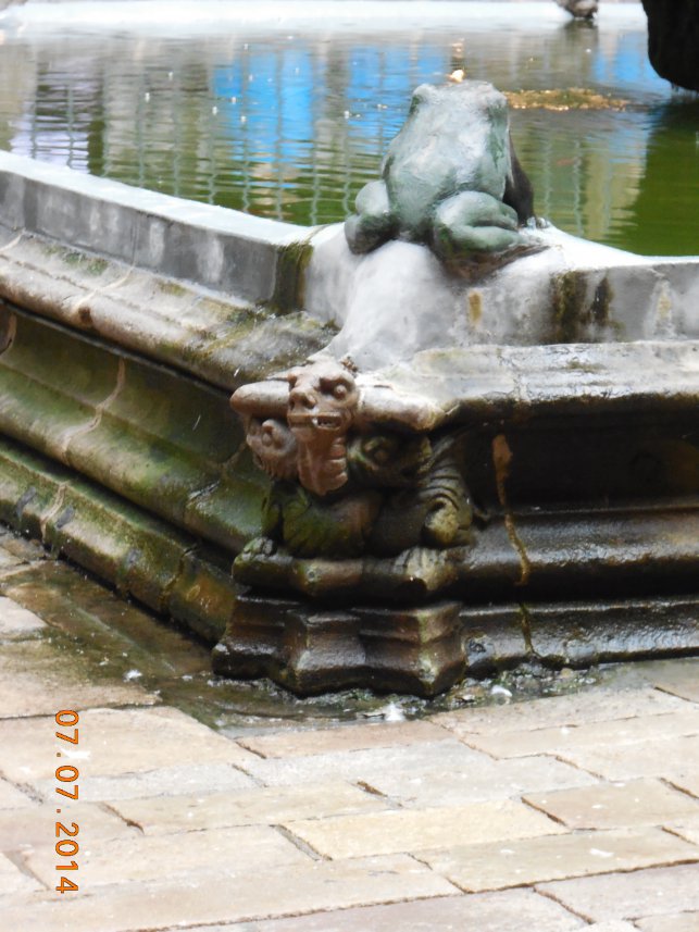 1425292074.dscn4050.jpg