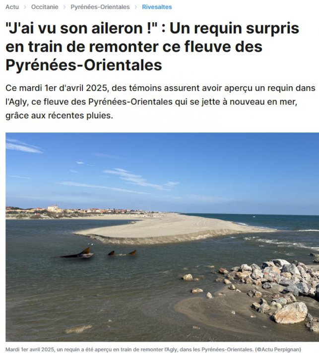 1743522912.requin.jpg